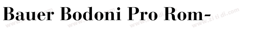 Bauer Bodoni Pro Rom字体转换